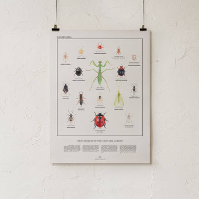 GoldLeaf Beneficial Insects Print Best Sales Price - Art Prints
