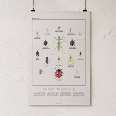 GoldLeaf Beneficial Insects Print Best Sales Price - Art Prints