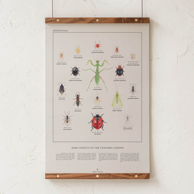 GoldLeaf Beneficial Insects Print Best Sales Price - Art Prints