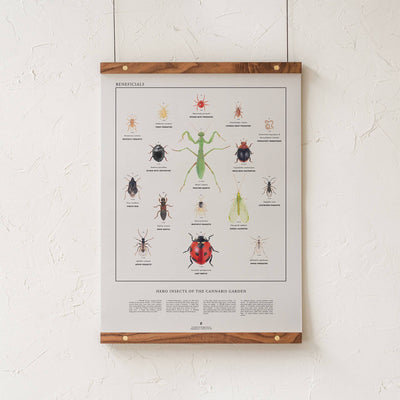 GoldLeaf Beneficial Insects Print Best Sales Price - Art Prints