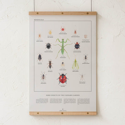 GoldLeaf Beneficial Insects Print Best Sales Price - Art Prints