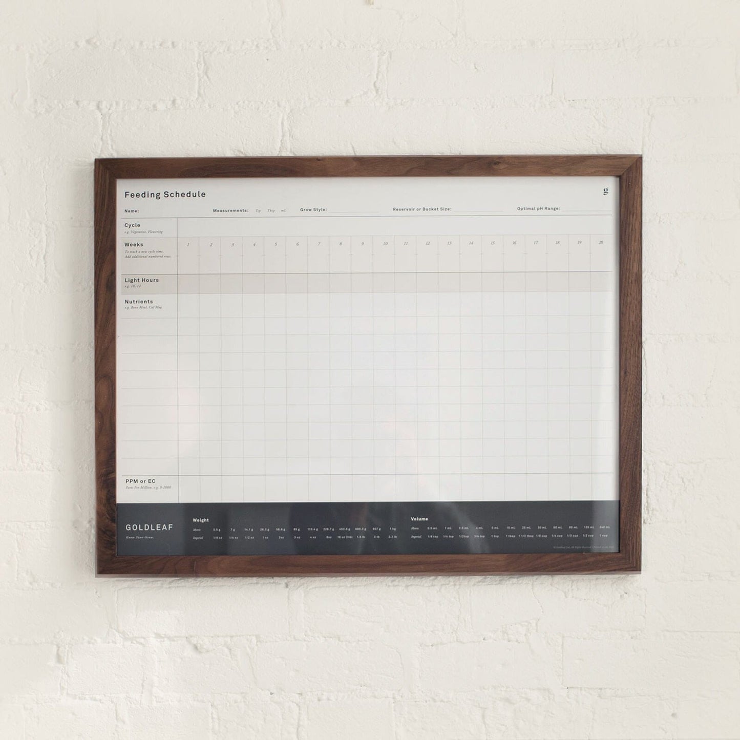 GoldLeaf Blank Feeding Schedule Wall Print Best Sales Price - Art Prints