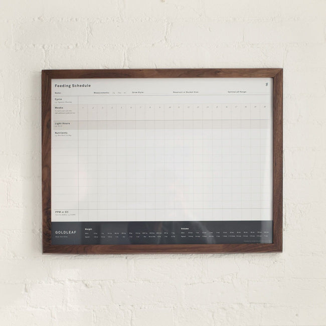 GoldLeaf Blank Feeding Schedule Wall Print Best Sales Price - Art Prints
