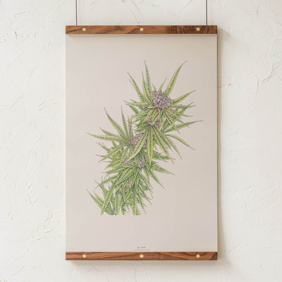 GoldLeaf Blue Dream Botanical Illustration Print Best Sales Price - Art Prints