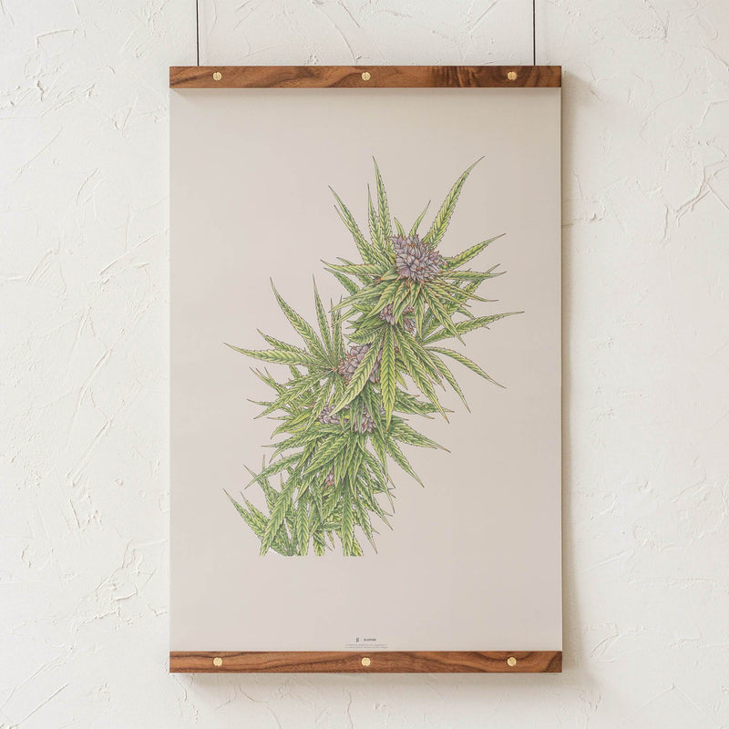 GoldLeaf Blue Dream Botanical Illustration Print Best Sales Price - Art Prints