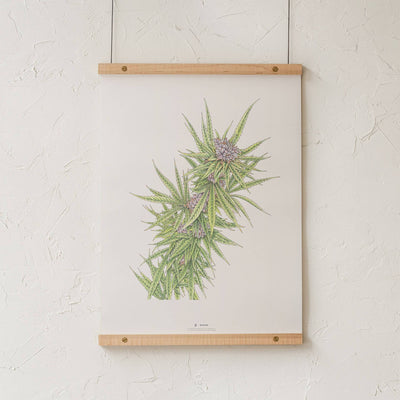 GoldLeaf Blue Dream Botanical Illustration Print Best Sales Price - Art Prints