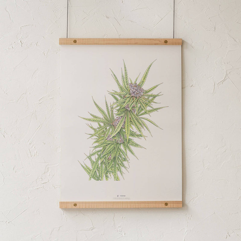 GoldLeaf Blue Dream Botanical Illustration Print Best Sales Price - Art Prints