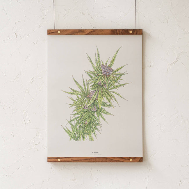 GoldLeaf Blue Dream Botanical Illustration Print Best Sales Price - Art Prints