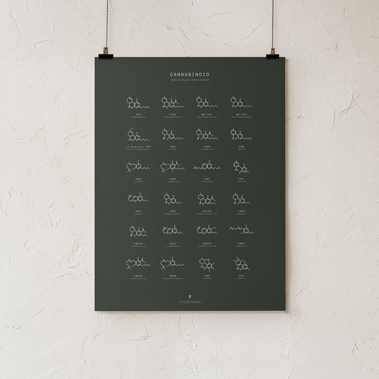 GoldLeaf Cannabinoid Molecular Structures Chart Print Best Sales Price - Art Prints