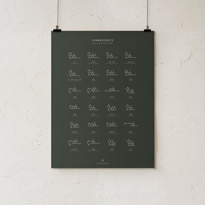 GoldLeaf Cannabinoid Molecular Structures Chart Print Best Sales Price - Art Prints