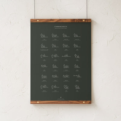 GoldLeaf Cannabinoid Molecular Structures Chart Print Best Sales Price - Art Prints