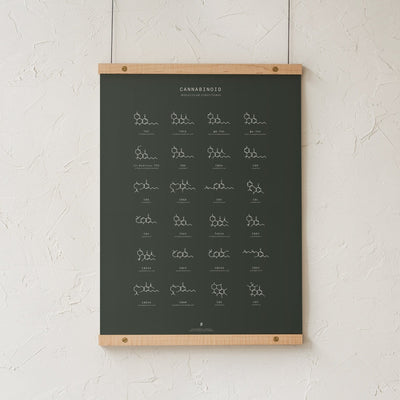 GoldLeaf Gráfico de Estructuras Moleculares de Cannabinoides Best Sales Price - Art Prints