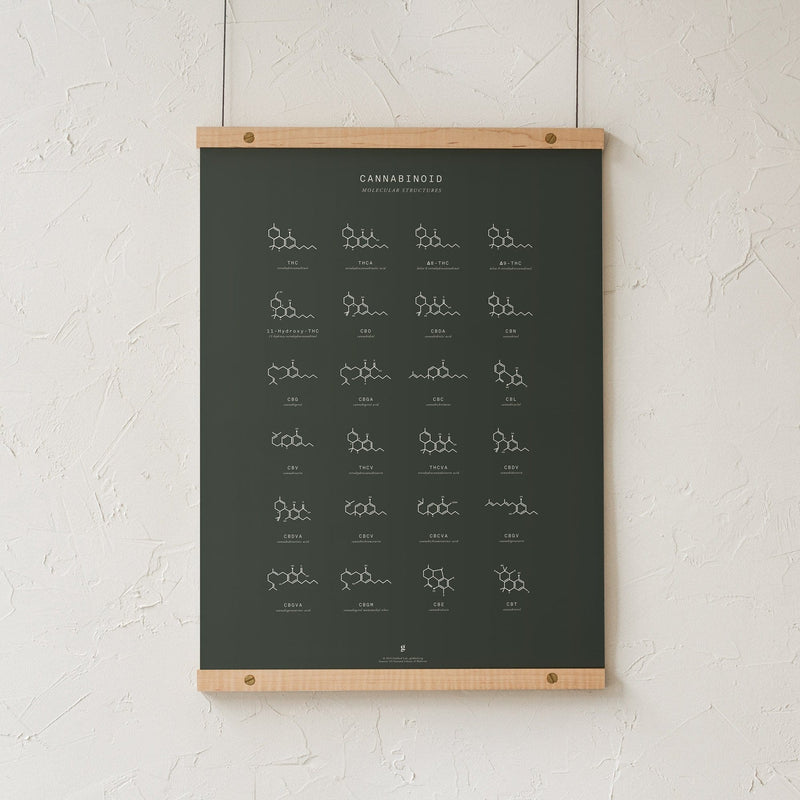 GoldLeaf Gráfico de Estructuras Moleculares de Cannabinoides Best Sales Price - Art Prints