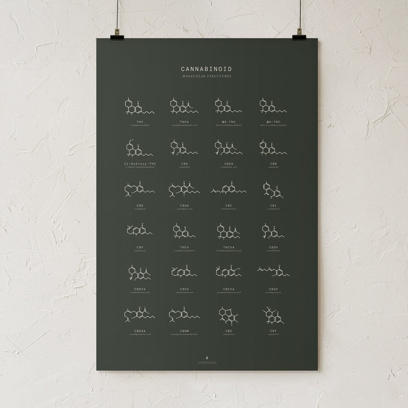 GoldLeaf Cannabinoid Molecular Structures Chart Print Best Sales Price - Art Prints