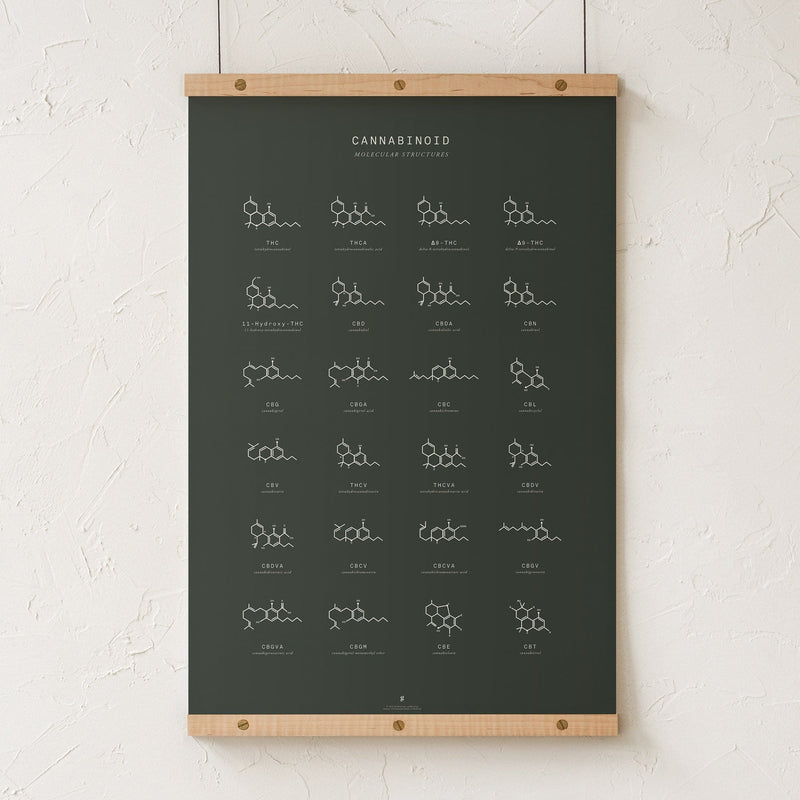GoldLeaf Gráfico de Estructuras Moleculares de Cannabinoides Best Sales Price - Art Prints