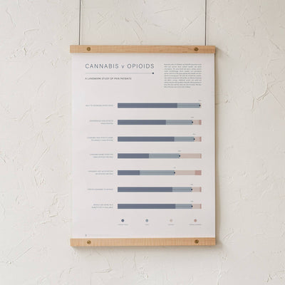 GoldLeaf Cannabis v Opioid Infographic Print Best Sales Price - Art Prints