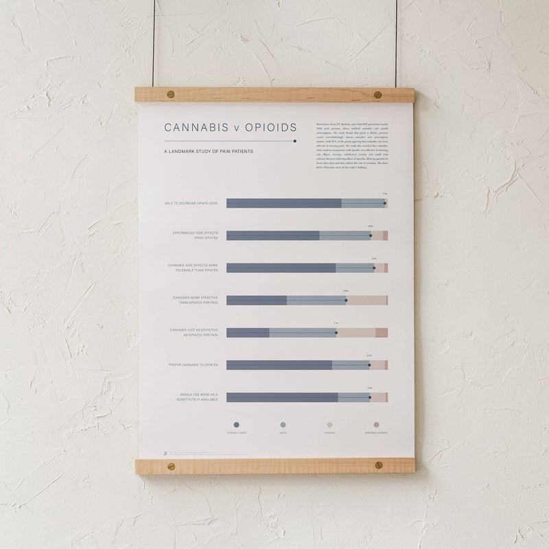 GoldLeaf Cannabis v Opioid Infographic Print Best Sales Price - Art Prints