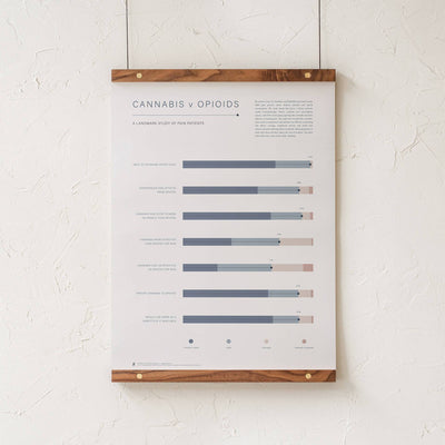 GoldLeaf Cannabis v Opioid Infographic Print Best Sales Price - Art Prints