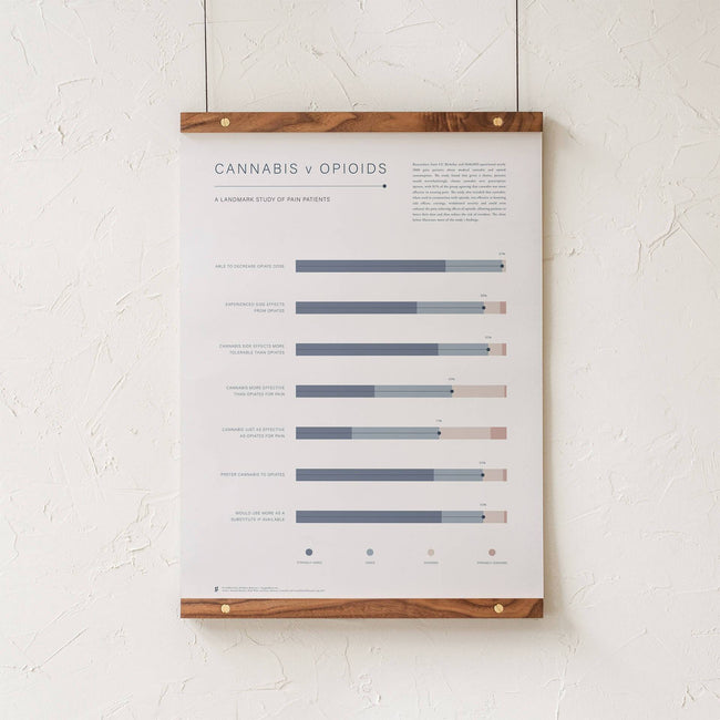 GoldLeaf Cannabis v Opioid Infographic Print Best Sales Price - Art Prints