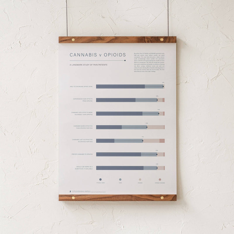 GoldLeaf Cannabis v Opioid Infographic Print Best Sales Price - Art Prints