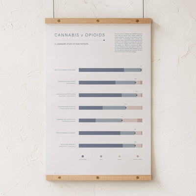 GoldLeaf Cannabis v Opioid Infographic Print Best Sales Price - Art Prints