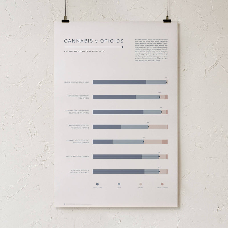 GoldLeaf Cannabis v Opioid Infographic Print Best Sales Price - Art Prints