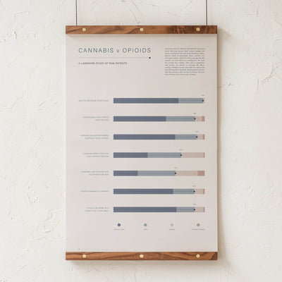 GoldLeaf Cannabis v Opioid Infographic Print Best Sales Price - Art Prints