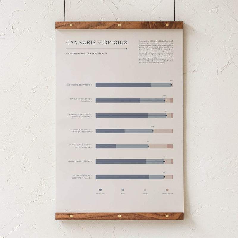 GoldLeaf Cannabis v Opioid Infographic Print Best Sales Price - Art Prints