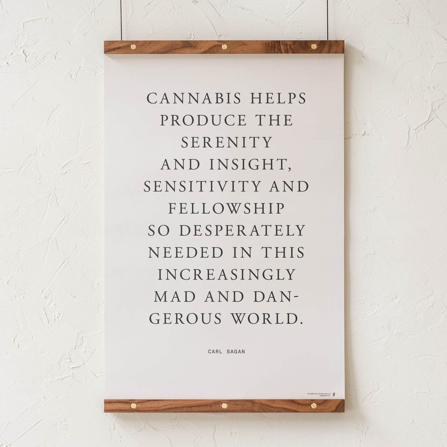 GoldLeaf Carl Sagan Quote Art Print Best Sales Price - Art Prints