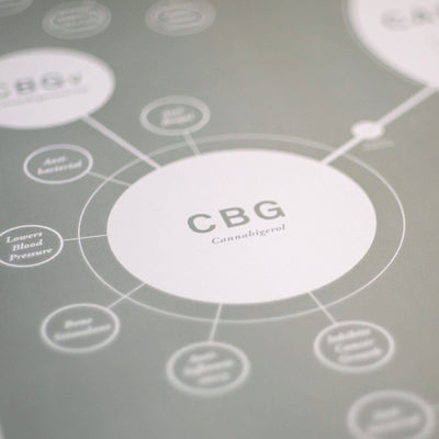 GoldLeaf Chart Of Cannabinoids Print Best Sales Price - Art Prints