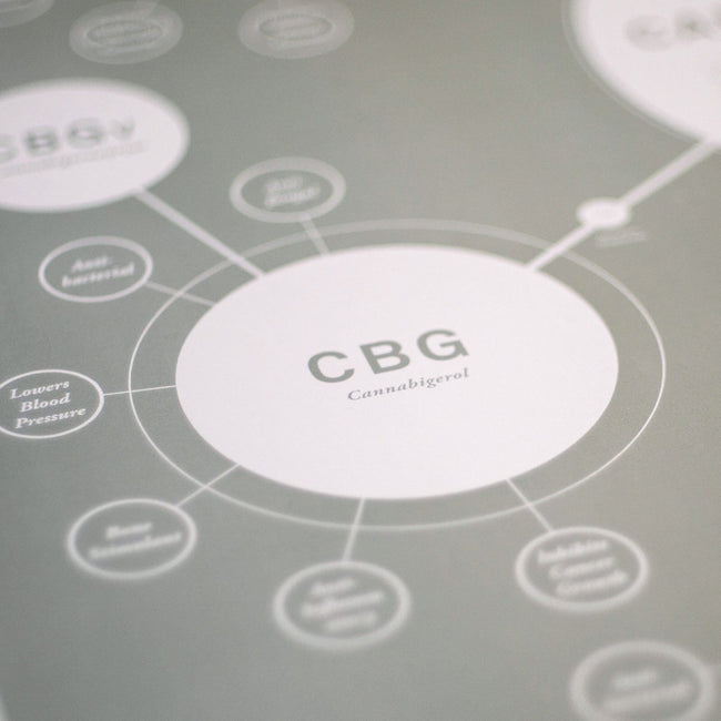 GoldLeaf Chart Of Cannabinoids Print Best Sales Price - Art Prints