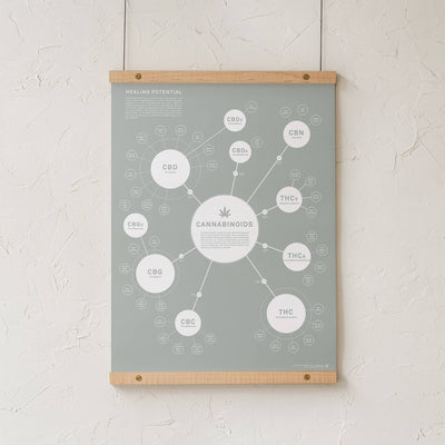 GoldLeaf Chart Of Cannabinoids Print Best Sales Price - Art Prints