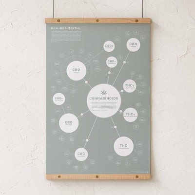 GoldLeaf Chart Of Cannabinoids Print Best Sales Price - Art Prints