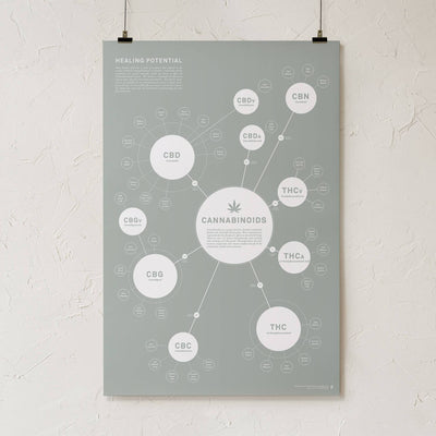 GoldLeaf Chart Of Cannabinoids Print Best Sales Price - Art Prints