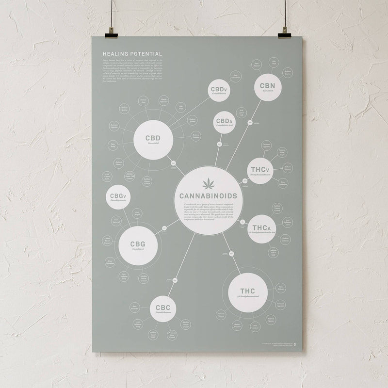 GoldLeaf Chart Of Cannabinoids Print Best Sales Price - Art Prints
