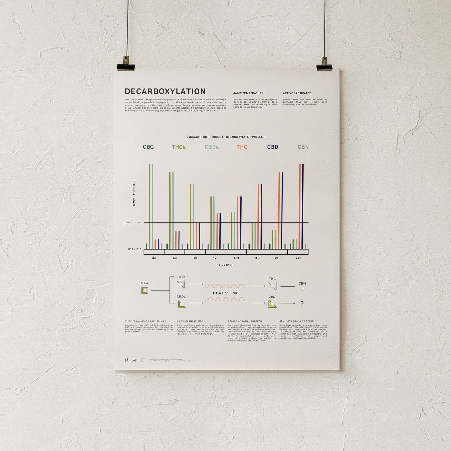 GoldLeaf Decarboxylation Infographic Print Best Sales Price - Art Prints