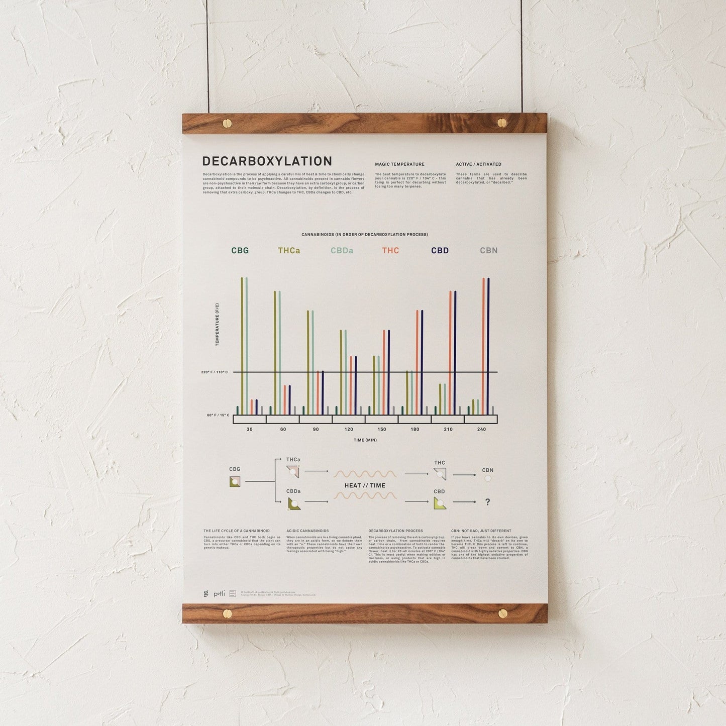 GoldLeaf Decarboxylation Infographic Print Best Sales Price - Art Prints