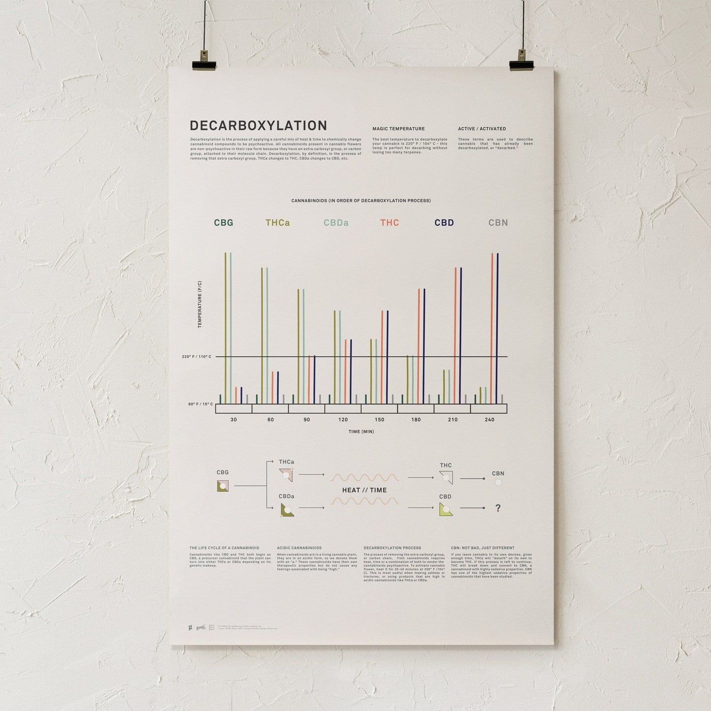 GoldLeaf Decarboxylation Infographic Print Best Sales Price - Art Prints
