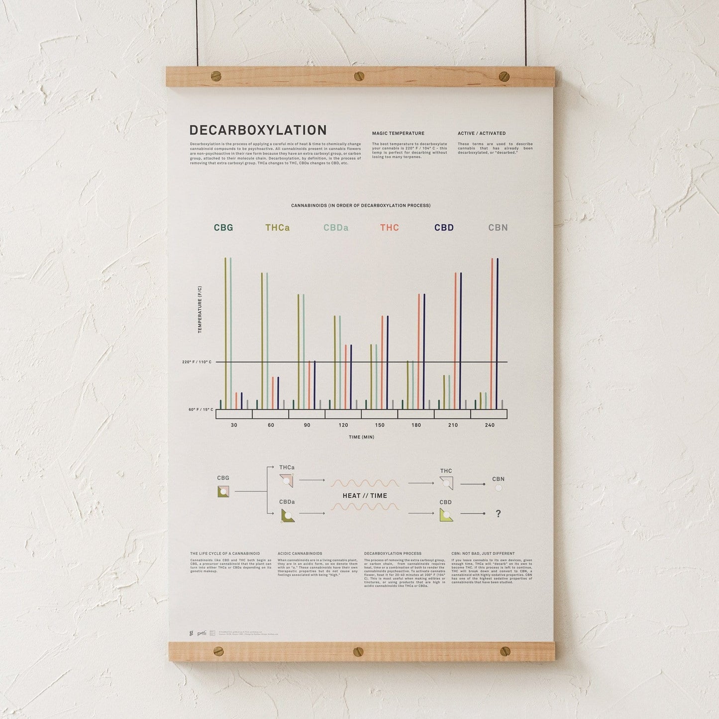GoldLeaf Decarboxylation Infographic Print Best Sales Price - Art Prints