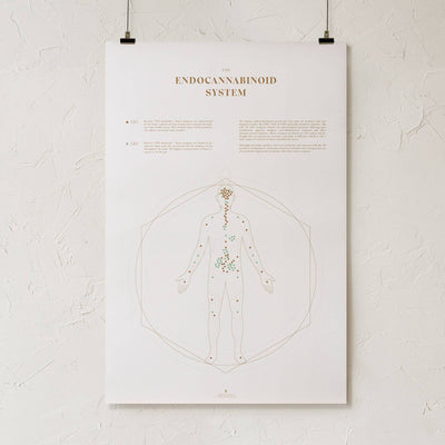 GoldLeaf Mapa de la Sistema Endocannabinoide Impresión Best Sales Price - Art Prints