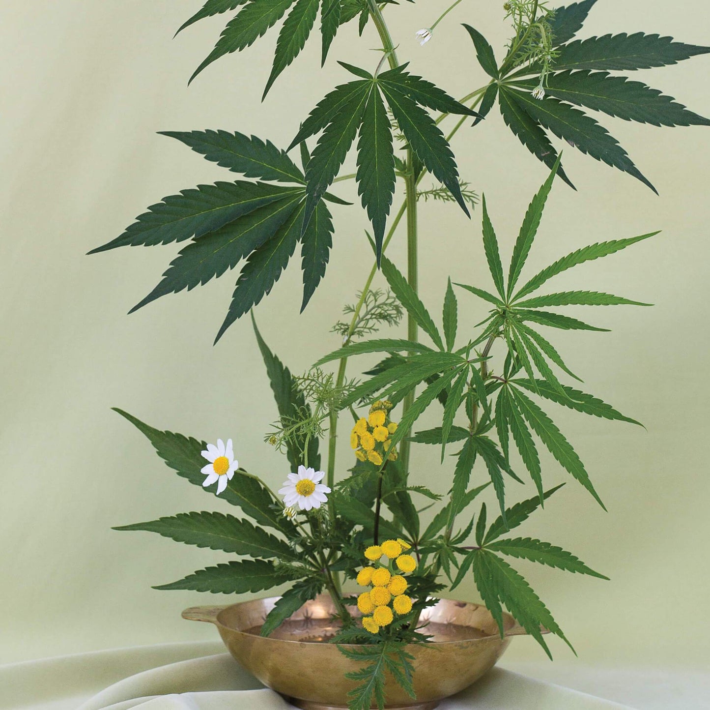 GoldLeaf Green Ikebana Art Print Best Sales Price - Art Prints