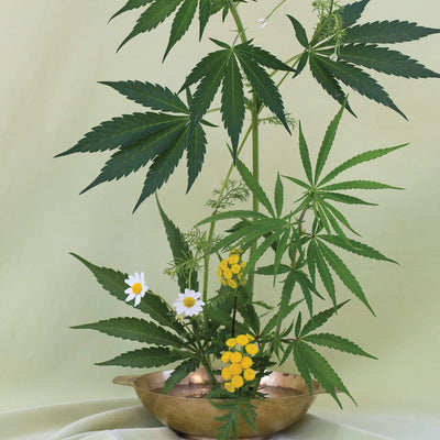 GoldLeaf Green Ikebana Art Print Best Sales Price - Art Prints