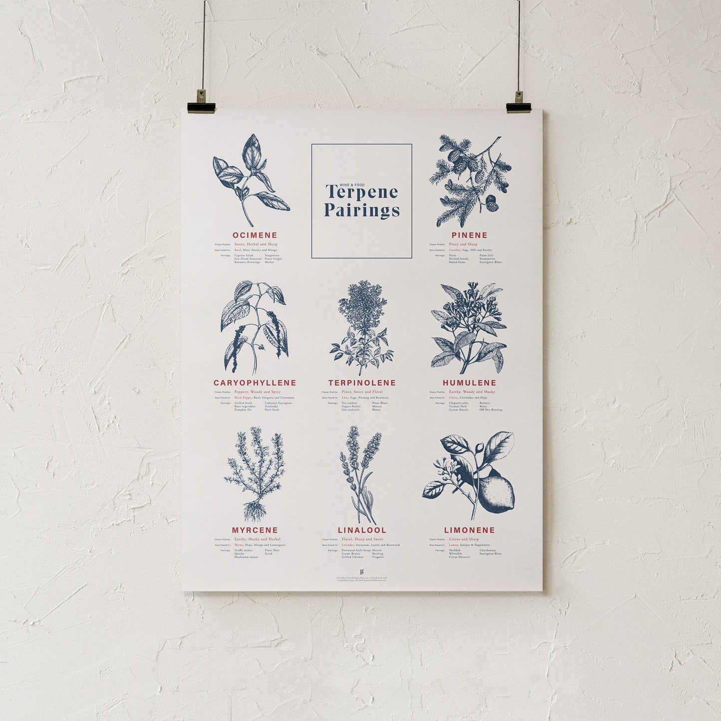 GoldLeaf Terpene Food & Wine Pairing Chart Print Best Sales Price - Art Prints