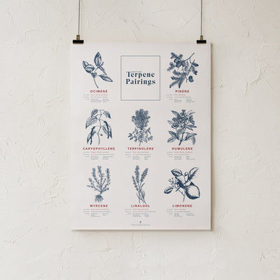 GoldLeaf Terpene Food & Wine Pairing Chart Print Best Sales Price - Art Prints