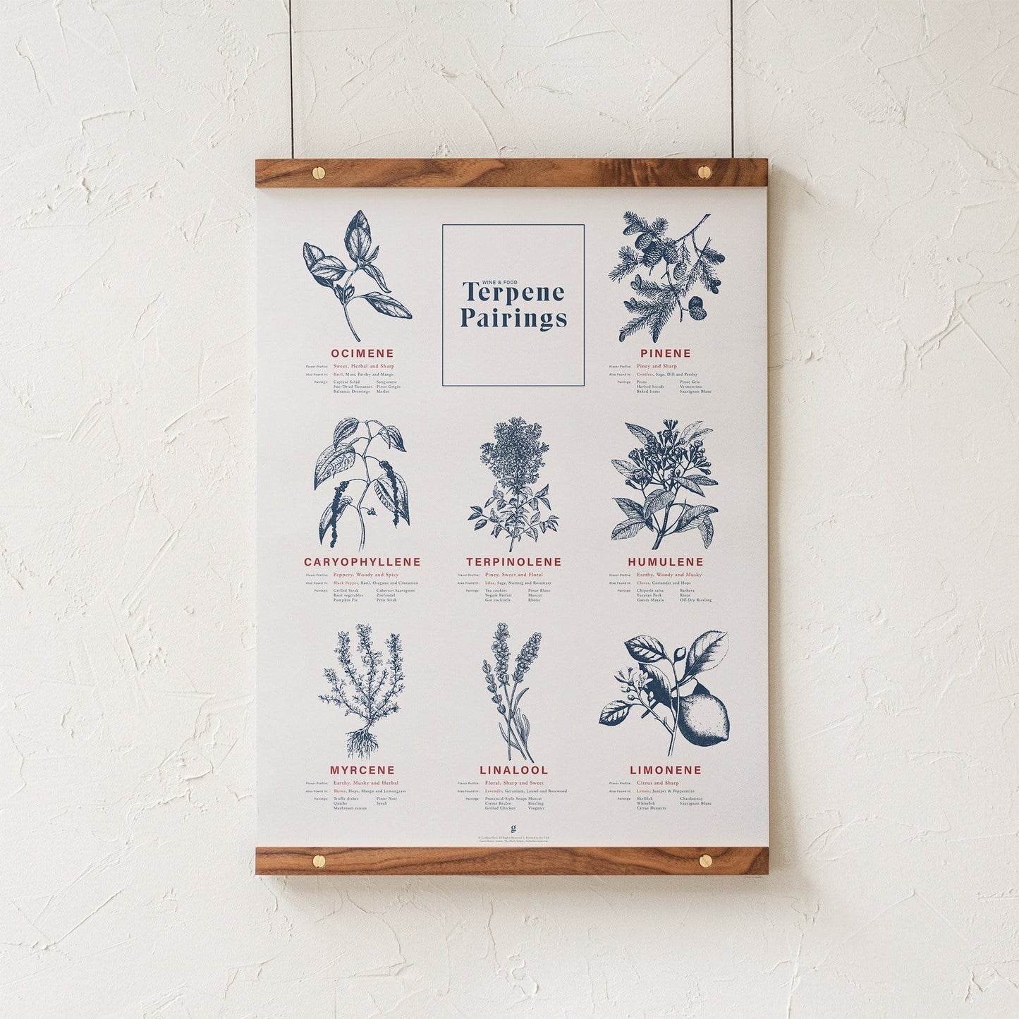 GoldLeaf Terpene Food & Wine Pairing Chart Print Best Sales Price - Art Prints