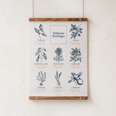 GoldLeaf Terpene Food & Wine Pairing Chart Print Best Sales Price - Art Prints