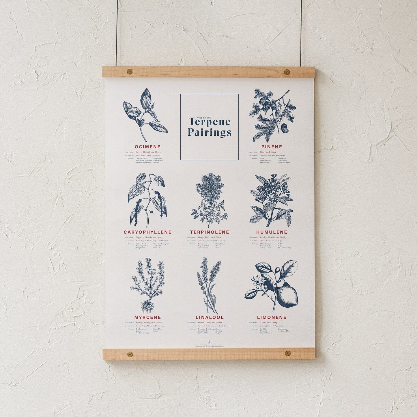 GoldLeaf Terpene Food & Wine Pairing Chart Print Best Sales Price - Art Prints