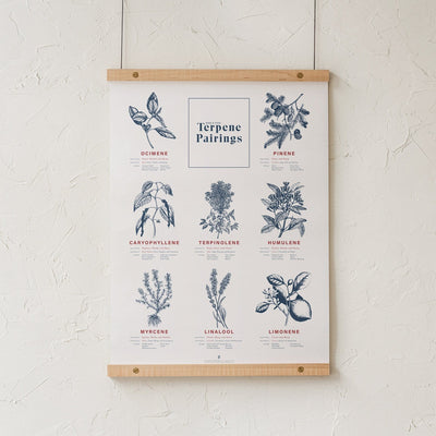 GoldLeaf Terpene Food & Wine Pairing Chart Print Best Sales Price - Art Prints