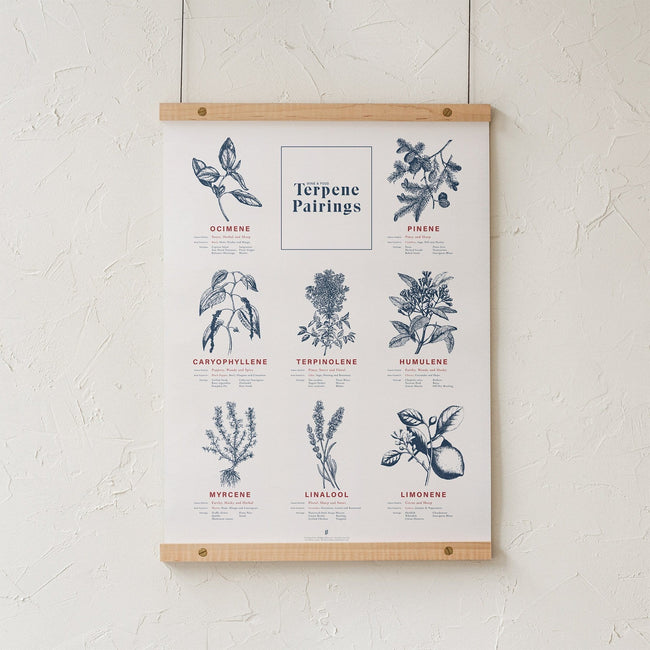 GoldLeaf Terpene Food & Wine Pairing Chart Print Best Sales Price - Art Prints
