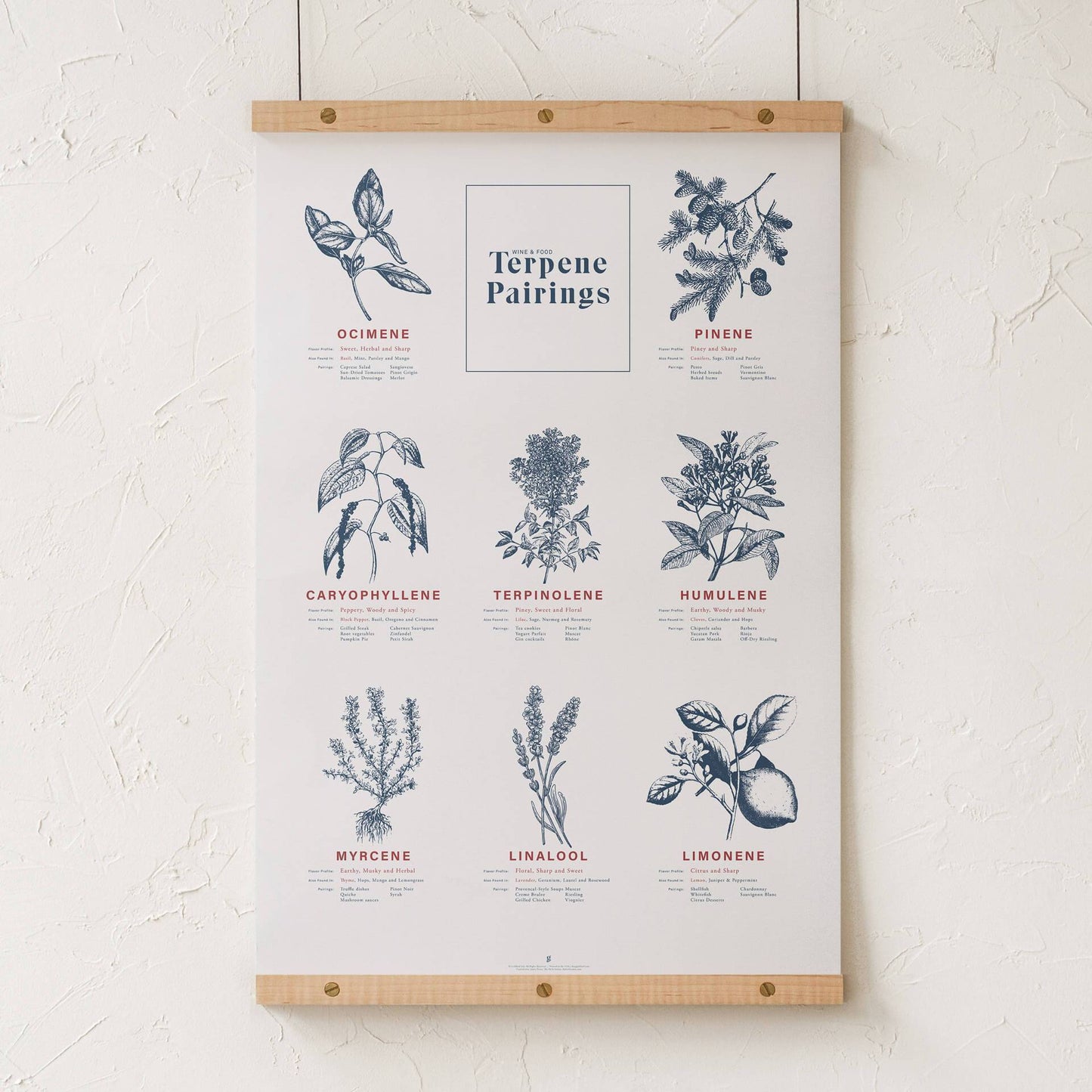 GoldLeaf Terpene Food & Wine Pairing Chart Print Best Sales Price - Art Prints